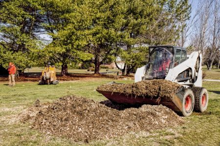 Land clearing preparation