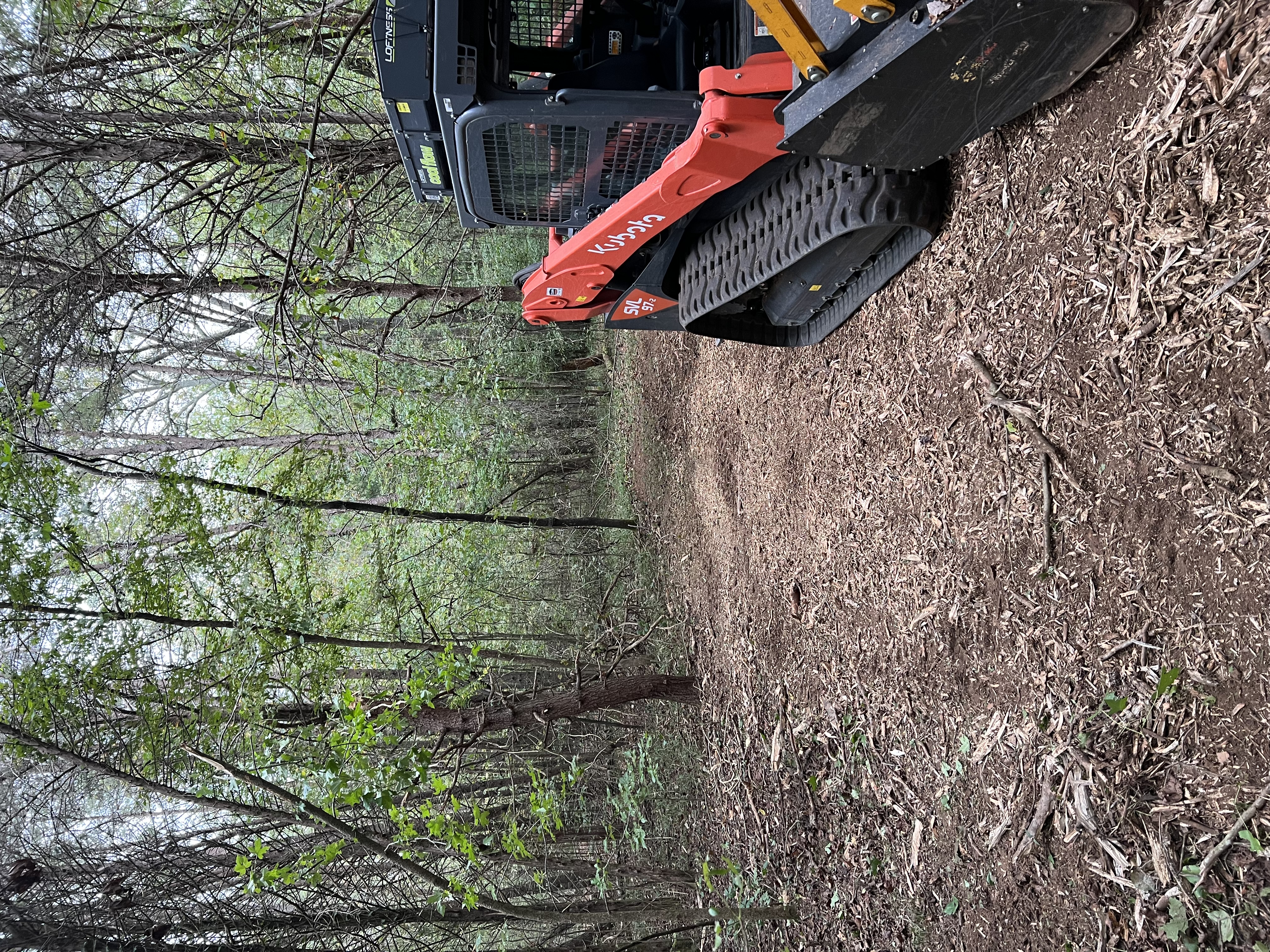 Forestry Mulching and Trail Clearing in Rock Island, TN