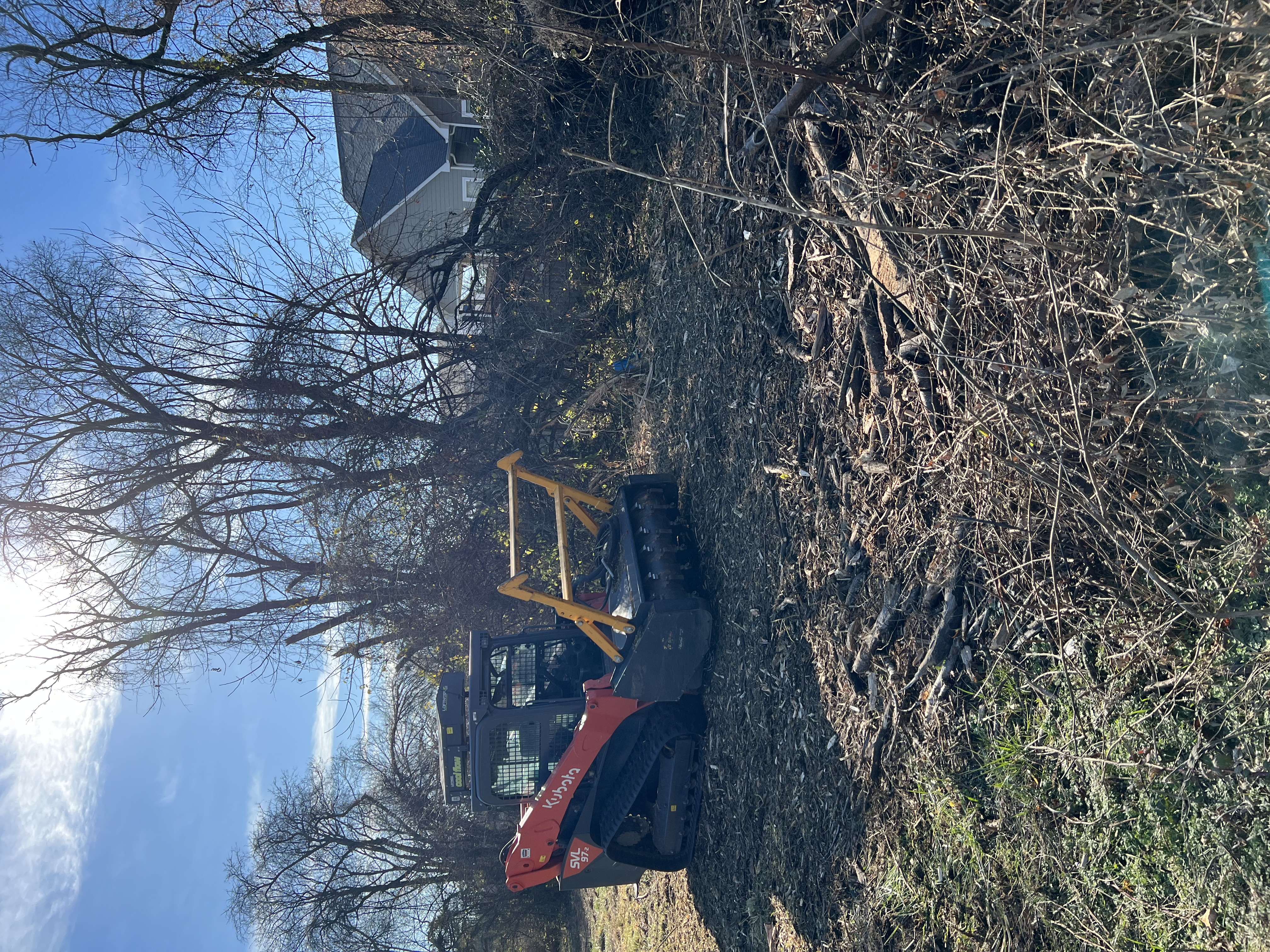Forestry mulching in Nashville Tennessee 