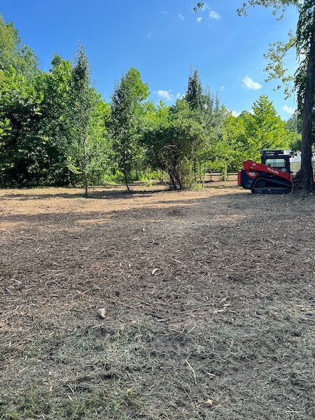 Building in davidson county essential site prep and land clearing for new nashville homes
