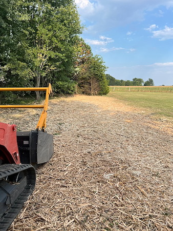 Forestry mulching in nashville how to clear wooded lots without destroying topsoil