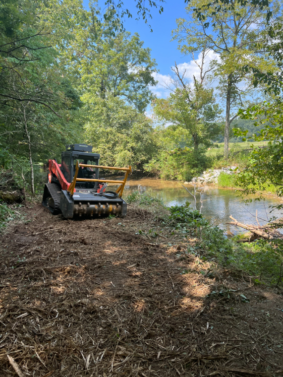 Land clearing