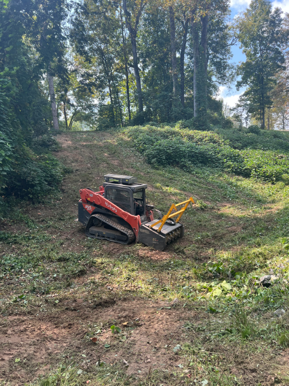 Land clearing