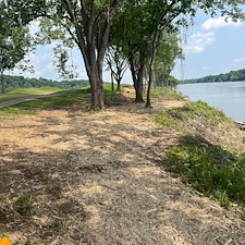 Commercial-forestry-mulching-project 0