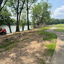 Commercial-forestry-mulching-project 1