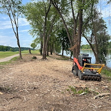 Commercial-forestry-mulching-project 2