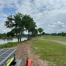 Commercial-forestry-mulching-project 6