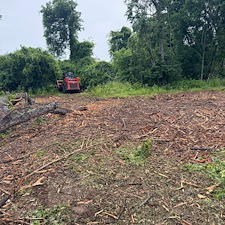 Fast-Forestry-Mulching-Land-Clearing-in-Mt-Juliet-TN 8
