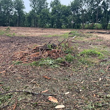 Fast-Forestry-Mulching-Land-Clearing-in-Mt-Juliet-TN 7