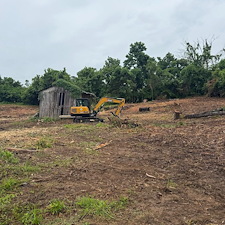 Fast-Forestry-Mulching-Land-Clearing-in-Mt-Juliet-TN 6