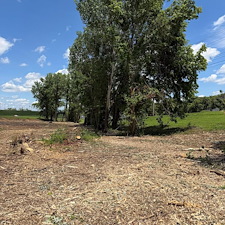 Fast-Forestry-Mulching-Land-Clearing-in-Mt-Juliet-TN 4