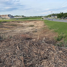 Fast-Forestry-Mulching-Land-Clearing-in-Mt-Juliet-TN 2