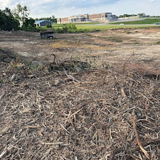 Fast-Forestry-Mulching-Land-Clearing-in-Mt-Juliet-TN 1