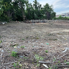 Fast-Forestry-Mulching-Land-Clearing-in-Mt-Juliet-TN 0