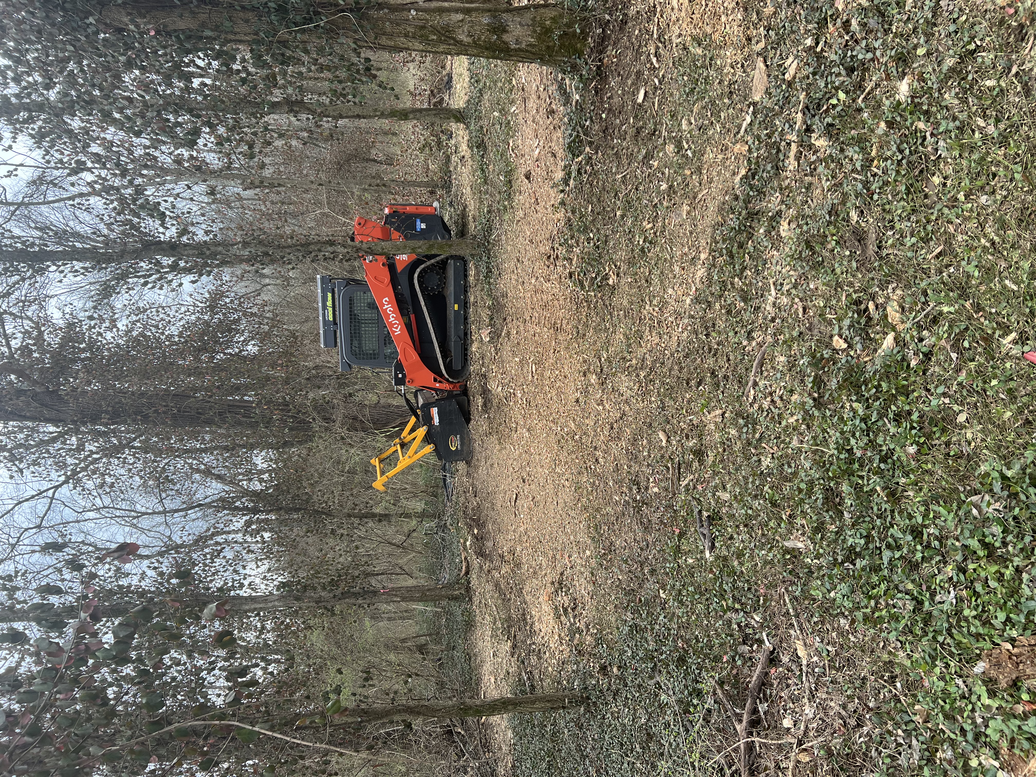 Forestry mulching a construction site