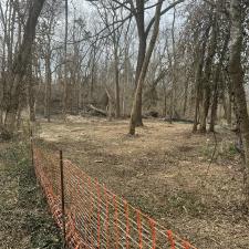 Forestry-mulching-a-construction-site 3