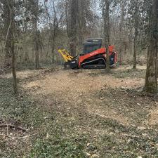 Forestry-mulching-a-construction-site 7