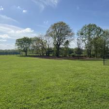 Forestry-mulching-and-grading 3