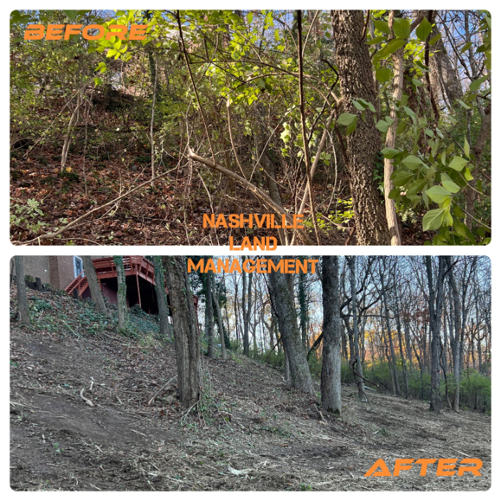 Forestry Mulching in Brentwood, TN