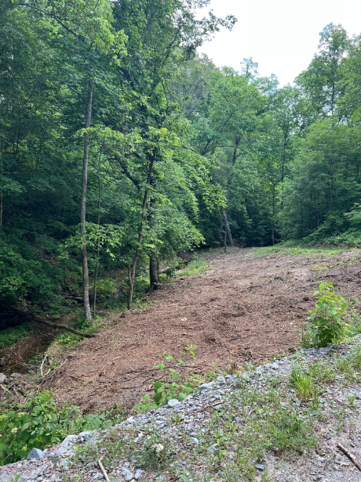 Forestry Mulching in Leipers Fork, TN