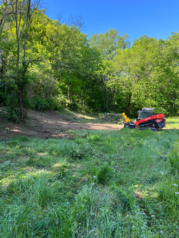 Forestry Mulching in Nashville, TN