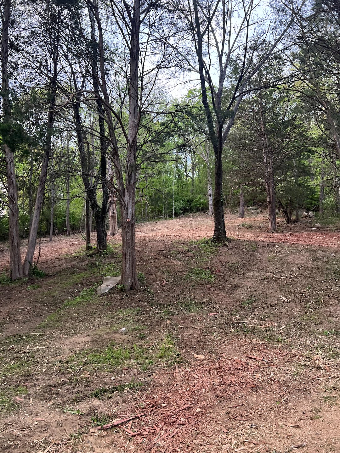 Forestry mulching project in Nashville TN