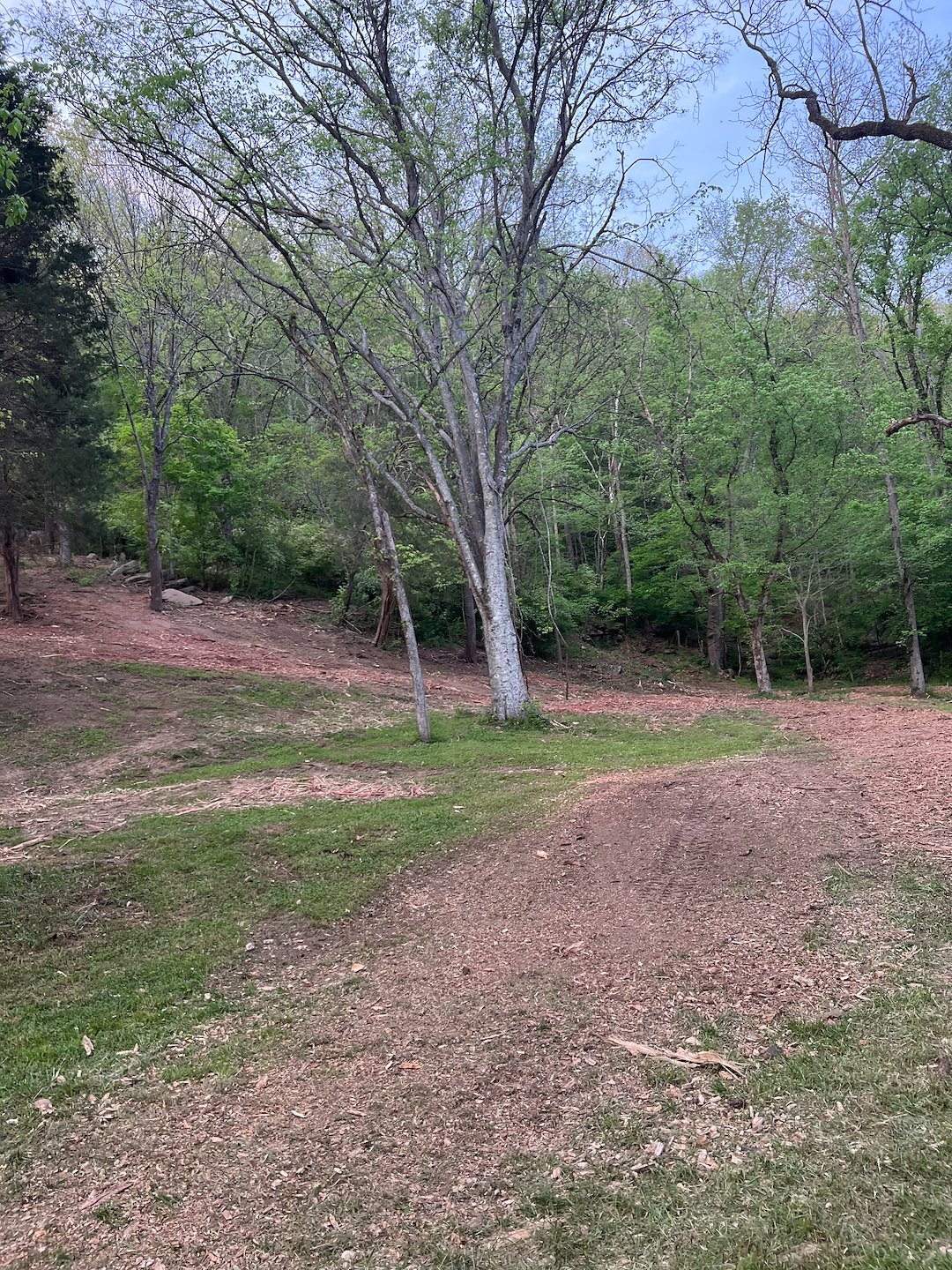 Forestry mulching project in Nashville tn (1)