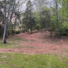 Forestry-mulching-project-in-Nashville-tn-1 1