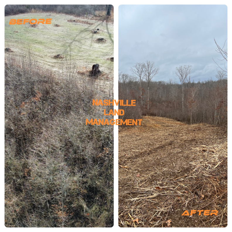 Forestry Mulching in White Bluff, TN