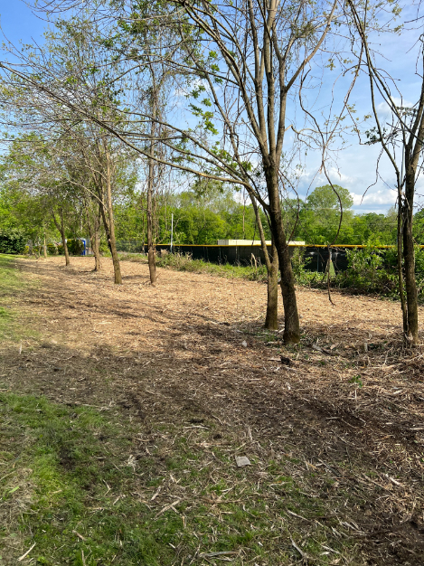 Forestry Mulching at a Baseball Field in Bellevue, TN