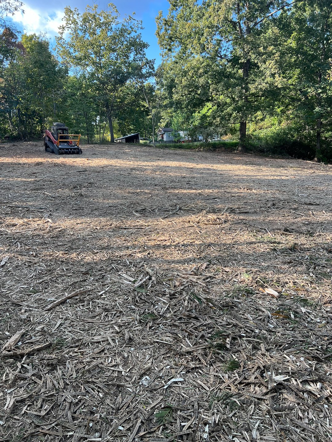 Residential forestry mulching project 