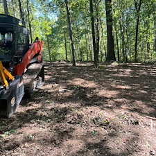 Residential-forestry-mulching-project 0