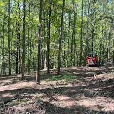 Residential-forestry-mulching-project 1