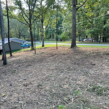 Residential-forestry-mulching-project 3