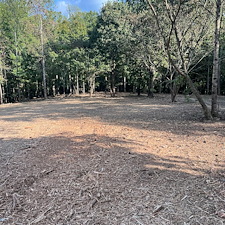 Residential-forestry-mulching-project 2