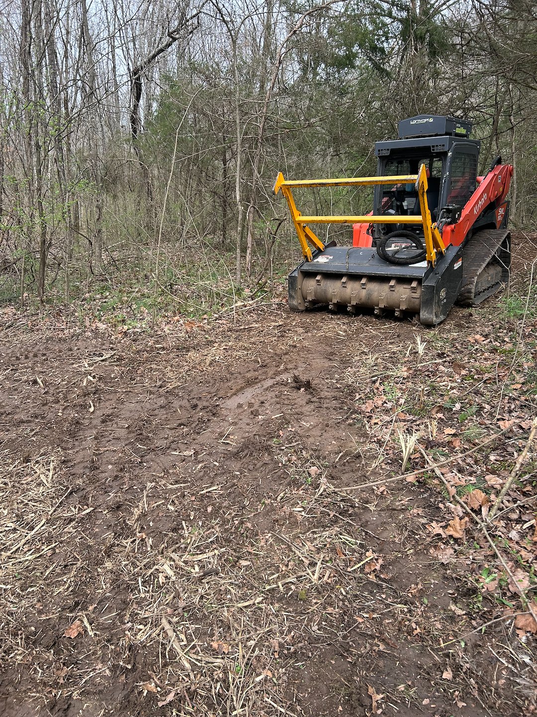 Residential forestry mulching project  (1)