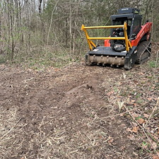 Residential-forestry-mulching-project-1 1