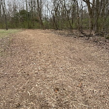 Residential-forestry-mulching-project-1 0