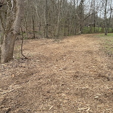 Residential-forestry-mulching-project-1 2