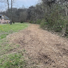 Residential-forestry-mulching-project-1 3