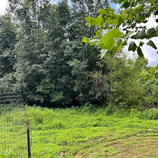 Residential-forestry-mulching-services 5
