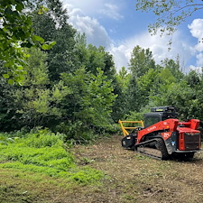 Residential-forestry-mulching-services 1