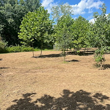 Residential-forestry-mulching-services 2