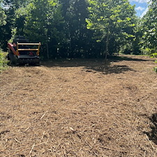 Residential-forestry-mulching-services 0