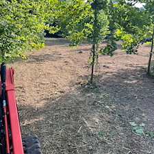 Residential-forestry-mulching-services 4