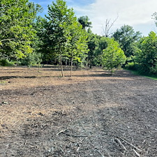 Residential-forestry-mulching-services 3